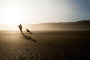 Best dog beaches in Marbella