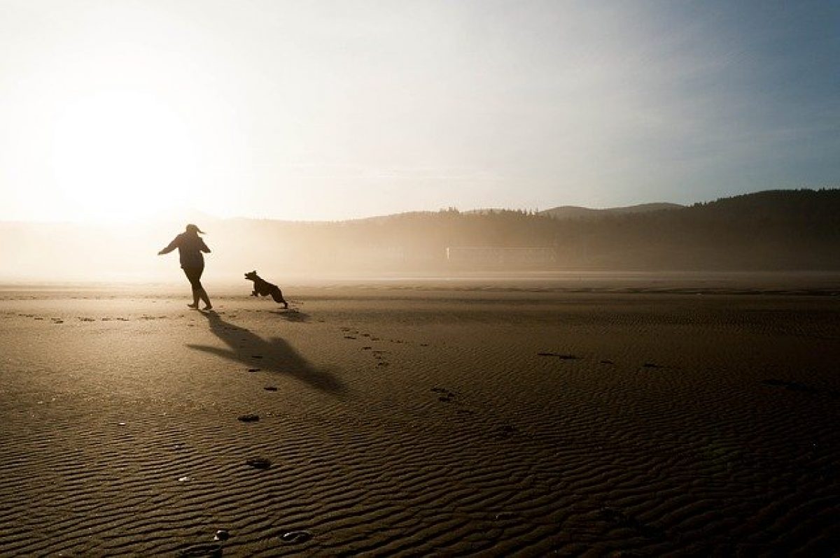 Best dog beaches in Marbella